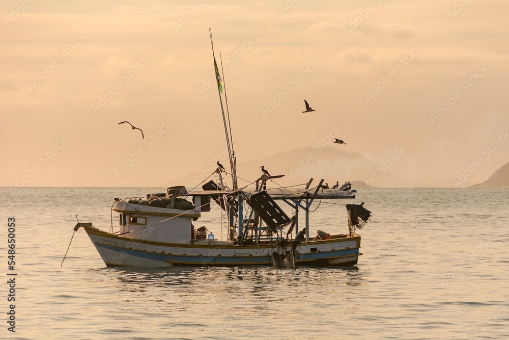 Shrimp fishing. Fishing boat in the open sea. Hungry birds flying over the boat at sunset.
