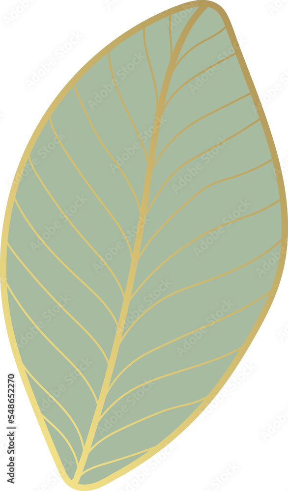 magnolia leaves gold line art