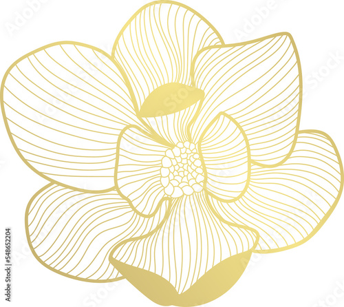 magnolia flower gold line art