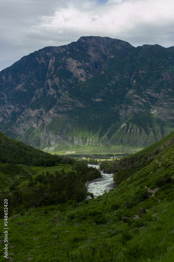 Mountain river Chulcha in Altay Russia