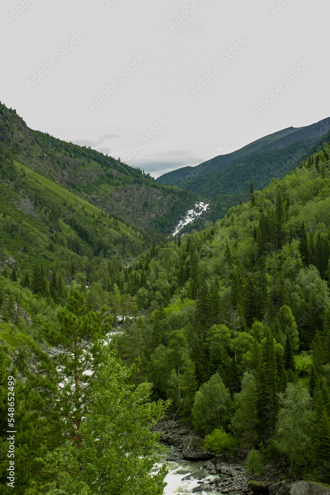 Fototapeta premium Mountain river Chulcha in Altay Russia