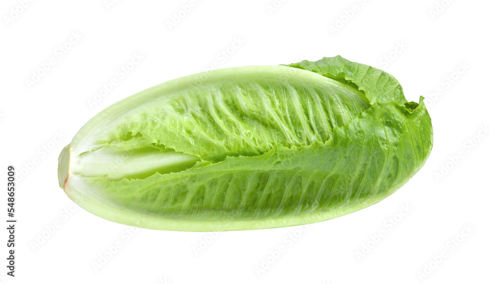 Fresh cos lettuce isolated on transparent png - obrazy, fototapety, plakaty 
