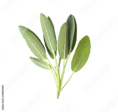 Foto Sage herb leaves isolated on transparent png