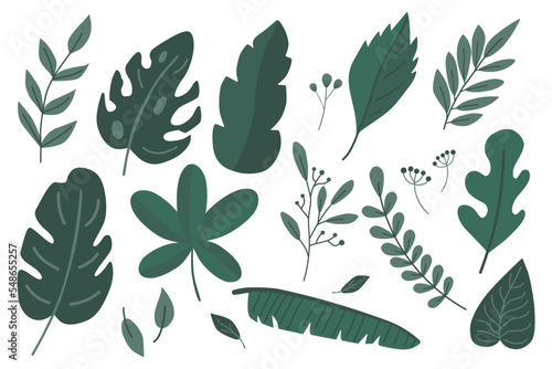 Set of green leaves flat vector isolated on white background. Tropical leaf by hand drawn.