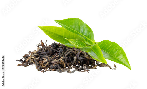 Fresh green tea leaf and dry  isolated on transparent png photo