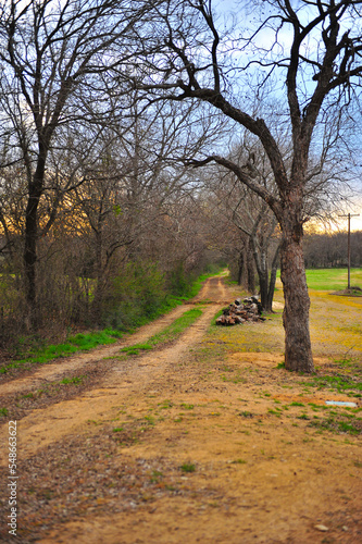 road in the autumn