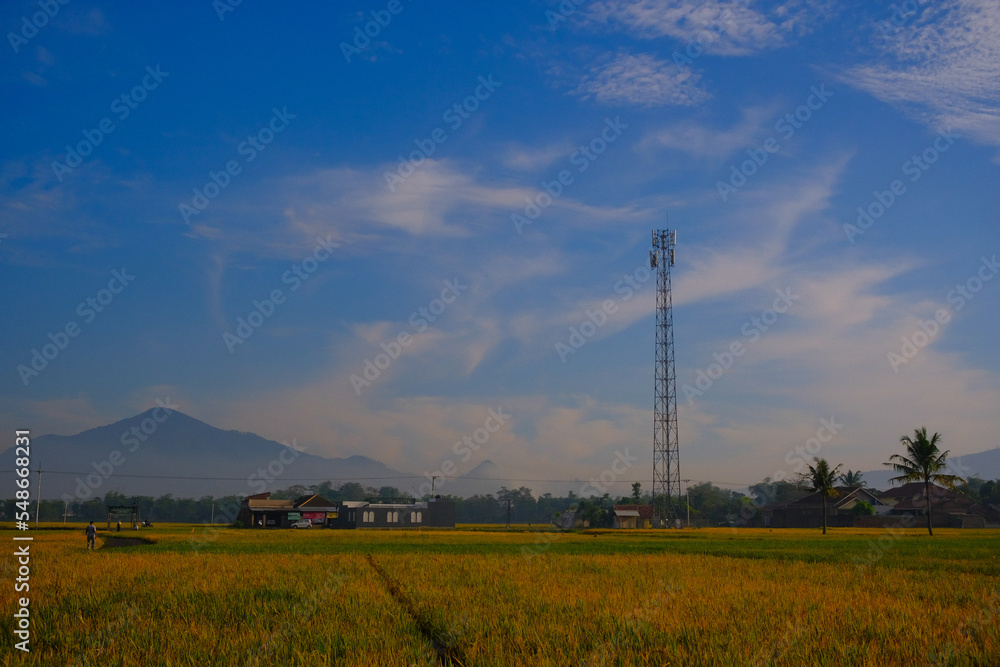 Abstract Defocused Blurred Background view of a quiet rice field in the Cikancung area - Indonesia. Not Focus Abstract Defocused Blurred Background view of a quiet rice field in the Cikancung area - Indonesia. Not Focus