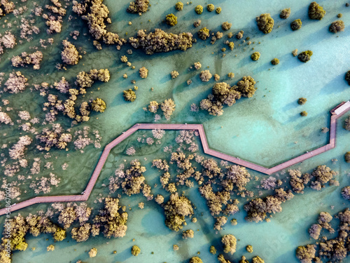 Aerial view of mangroves in Abu Dhabi. Special eco system, natural environment. photo