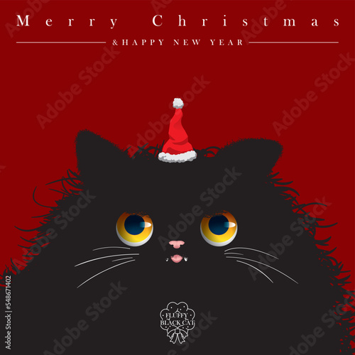 Fluffy black cat celebrates Christmas.