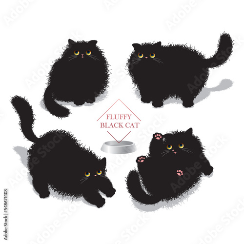 Fluffy black cat with four different movements.