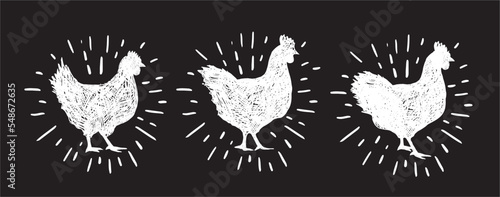 Canvastavla Chicken hand drawn illustration, Vector illustration.