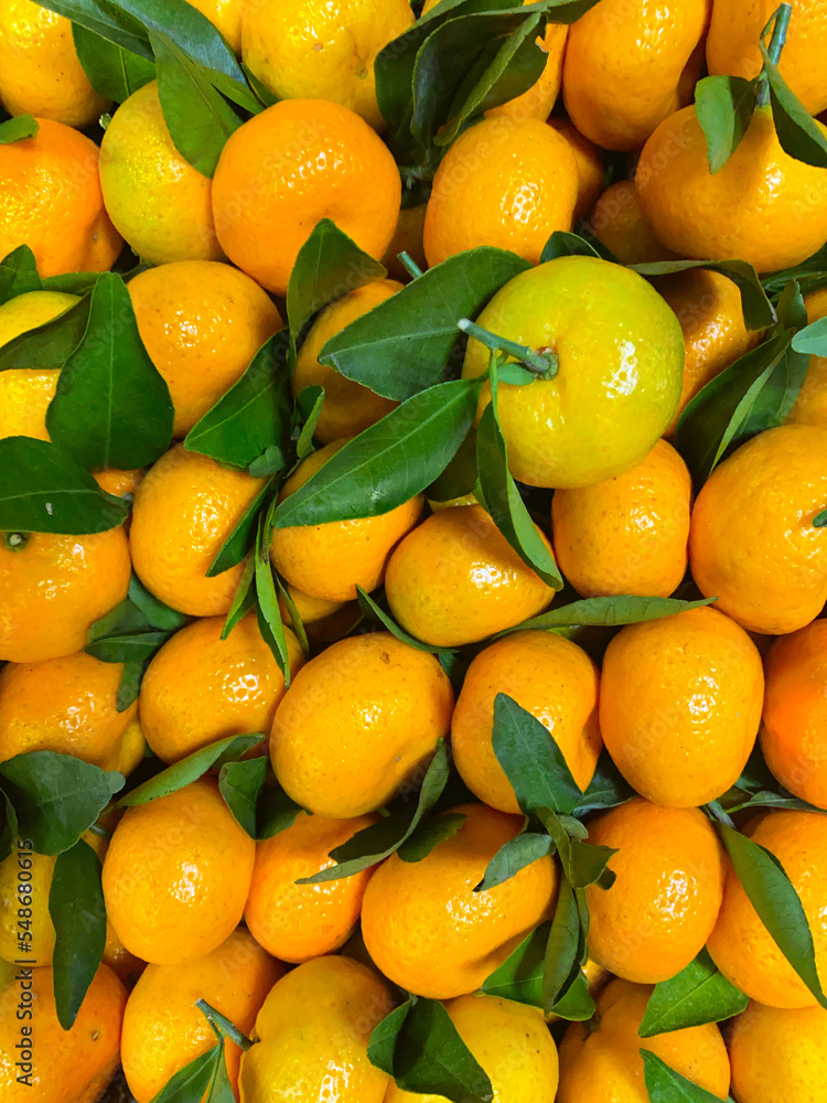 Lots of fresh organic tangerines or mandarins with green leaves close up with selective focus. Juicy clementines or citrus fruits