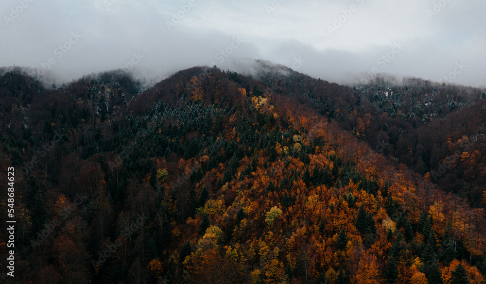 Beautiful autumn landscape from above. Drone shot 