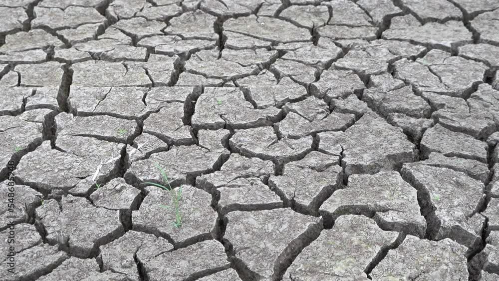 The cracks soil texture are global climate change and drought. time lapse evaporation from soil. dry, cracked earth. increased temperatures, global warming, environment and ecology.
The cracks soil texture are global climate change and drought. time lapse evaporation from soil. dry, cracked earth. increased temperatures, global warming, environment and ecology.