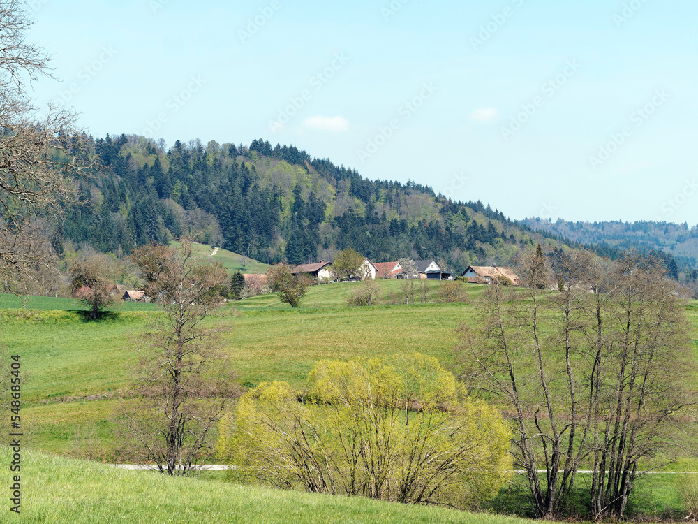 Above Weitenau village in Margraves' land (Markgräflerland). Romantic landscapes of foothills with bloom trees and green wild meadows at the foot of the Black Forest mountain in south of Germany