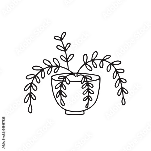 Vector hand drawn houseplant. Isolated on white background drawing for prints and posters
