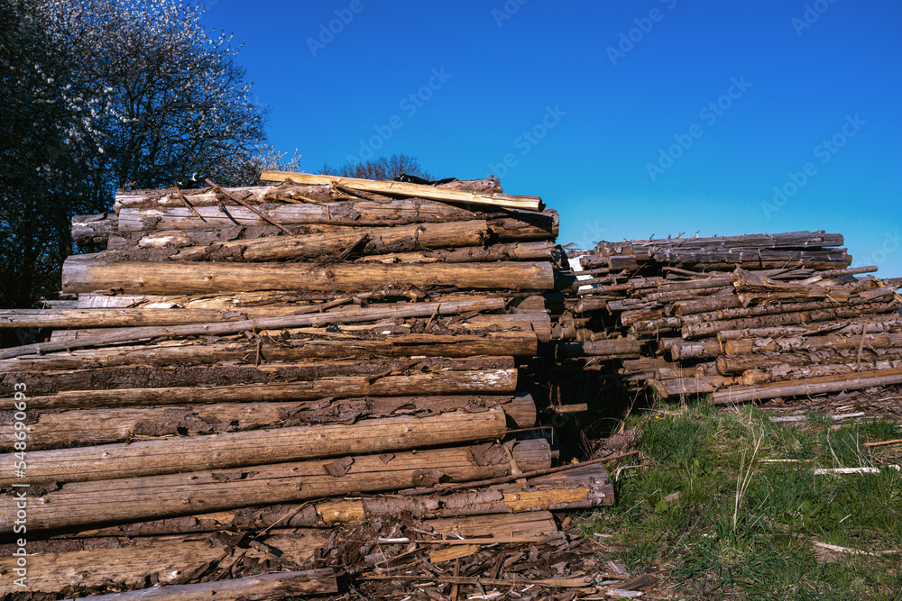 Natur Marburg, Holzpolter Natur Marburg, Holzpolter
