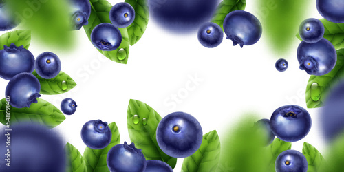 Realistic Blueberry Background