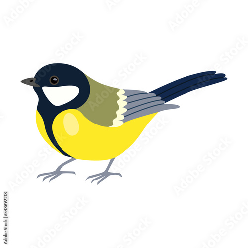 Bright tit bird cartoon illustration. Tomtit, robin, starling, woodpecker and sparrow sitting on tree branch isolated on white