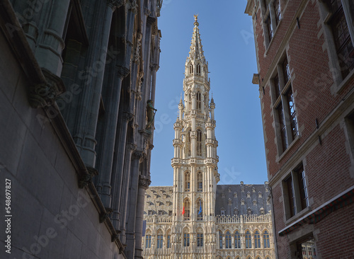Brussels, an ancient city of the artes