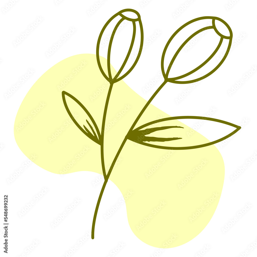 Obraz premium Botanical hand drawn element decoration vector
