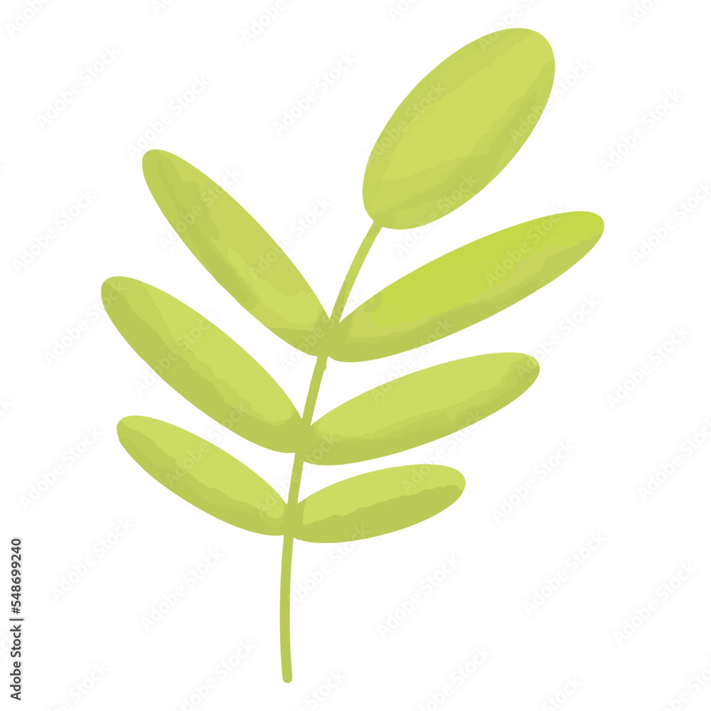 Fototapeta premium Botanical watercolor element decoration vector