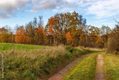 Fototapeta Naklejka Na Ścianę i Meble -  Sunny fall day in the countryside. Autumn landscape.