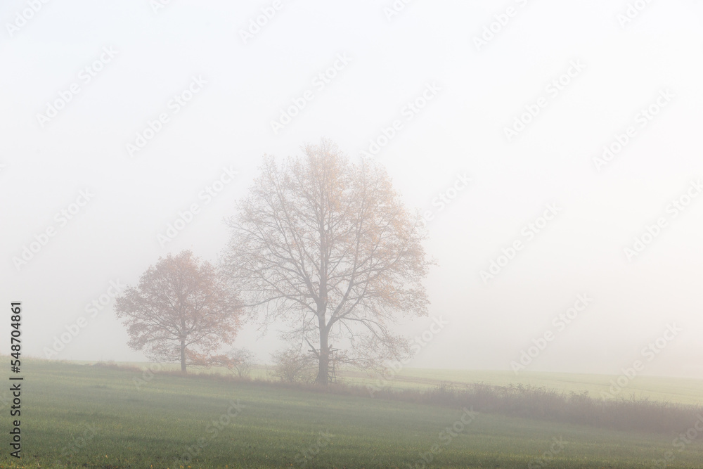 Autumn morning over scenic landscape. Scenic fields with fog. Autumn morning over scenic landscape. Scenic fields with fog.