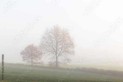 Autumn morning over scenic landscape. Scenic fields with fog.