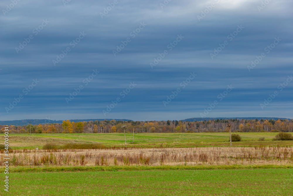 Obraz premium Rural landscape in cloudy, autumn weather. Fields and forests. Late fall. Europe.