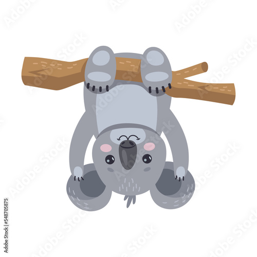 Cute koala sitting on eucalyptus tree cartoon illustration. Adorable Australian bear isolated on white
