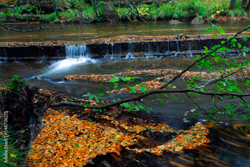 Leaves moving over the water of the Bayas River in the Gorbeia Natural Park. Basque Country. Spain