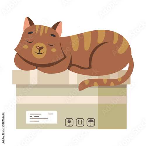 Cat with box, preposition on, cartoon illustration. Visual representation of English preposition of place for children. Pet above