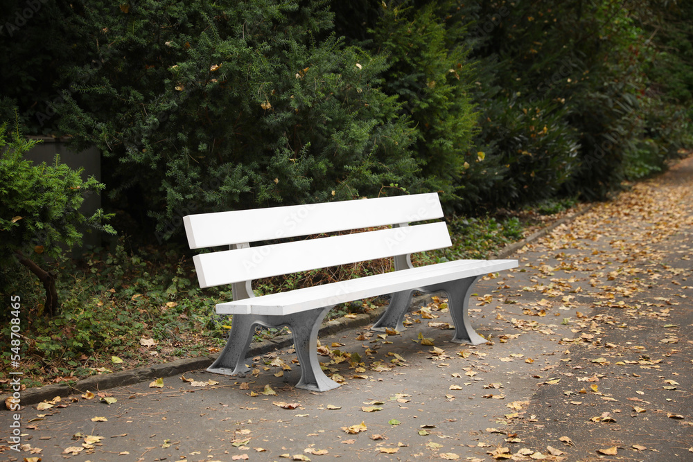 White wooden bench and green plants in park