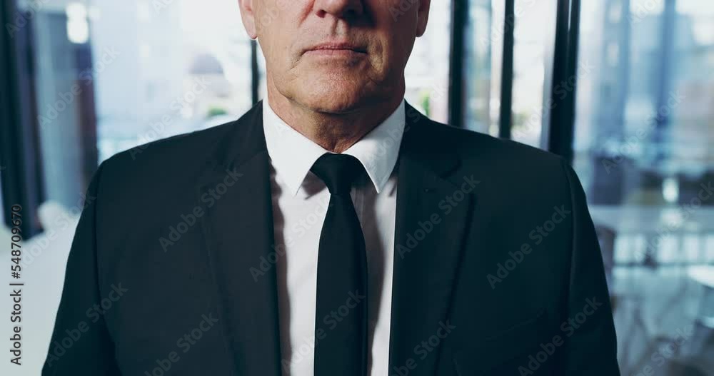 Ready, management and ceo in a suit for corporate, professional and work as a boss of a company. Tie, business and businessman prepared for working as an executive in an office job at the workplace Ready, management and ceo in a suit for corporate, professional and work as a boss of a company. Tie, business and businessman prepared for working as an executive in an office job at the workplace