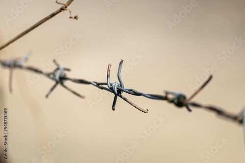 Old and Rusty Barbed Wire Fence on the Outdoor Garden.