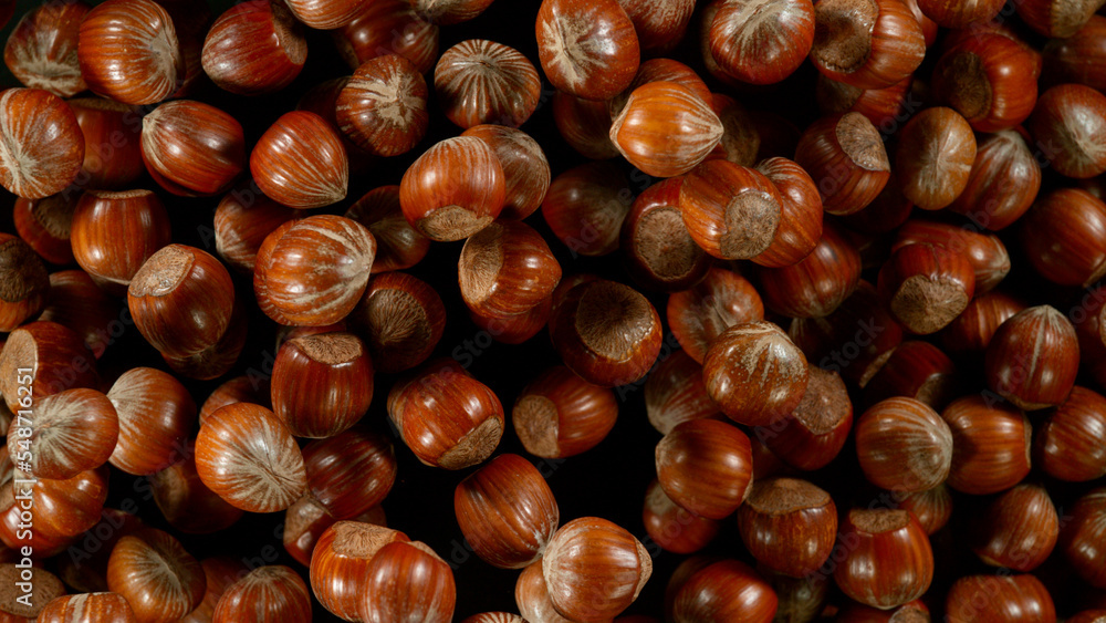 Freeze Motion Shot of Flying Whole Hazelnuts After Being Exploded on Black Background Freeze Motion Shot of Flying Whole Hazelnuts After Being Exploded on Black Background