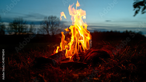 A Bonfire Burning in the Forest Meadow During Sunset. Slowmotion of Fireplace...