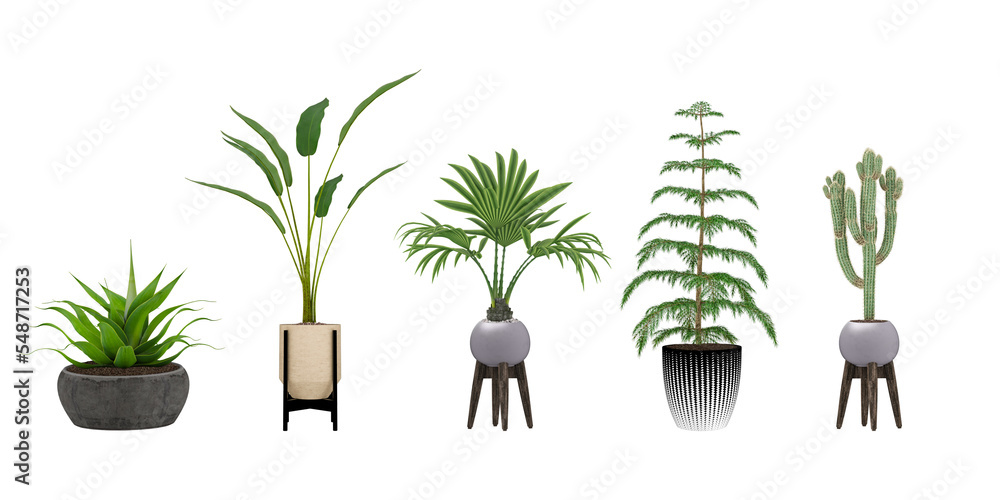 Plant 3d rendering Plant 3d rendering