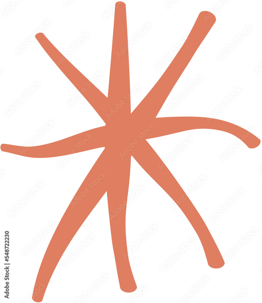 Fototapeta premium Shape Star hand drawn decorative