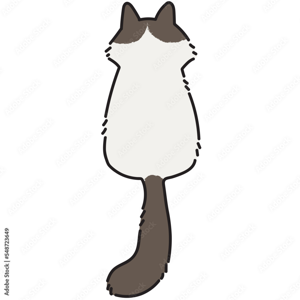 Persian cat back vector illustration