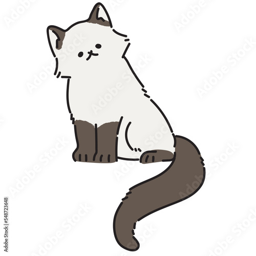 Persian cat  vector illustration
