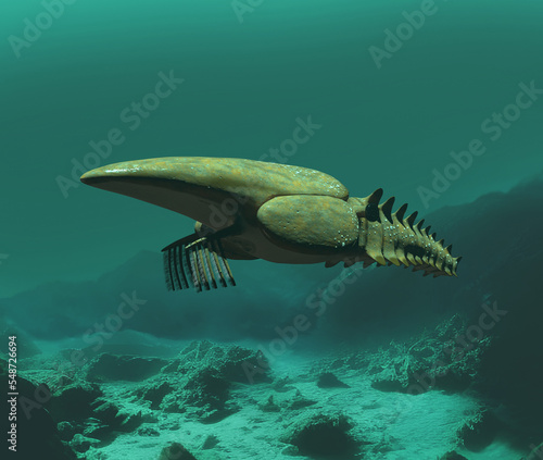3d illustration of an aegirocassis (early Ordovician) photo