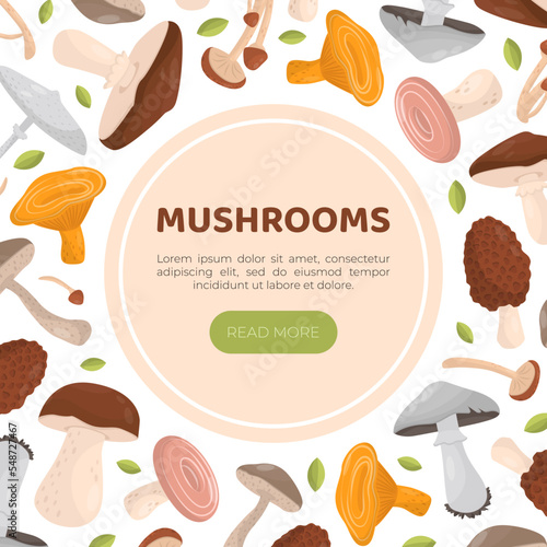 Mushrooms web banner with space for text. Forest edible mushrooms landing page, website cartoon vector
