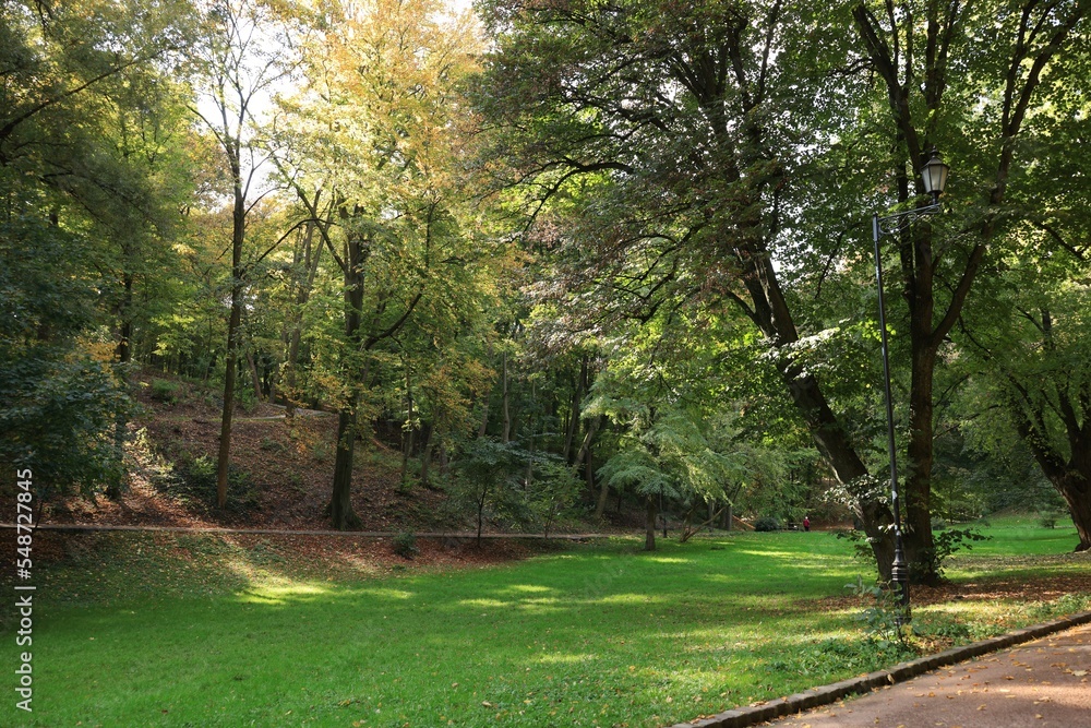 Fototapeta premium Pathway, fallen leaves, green grass and trees in beautiful public city park on autumn day