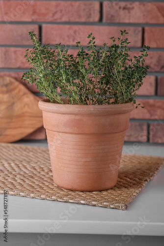 Aromatic green potted thyme on white table near brick wall © New Africa