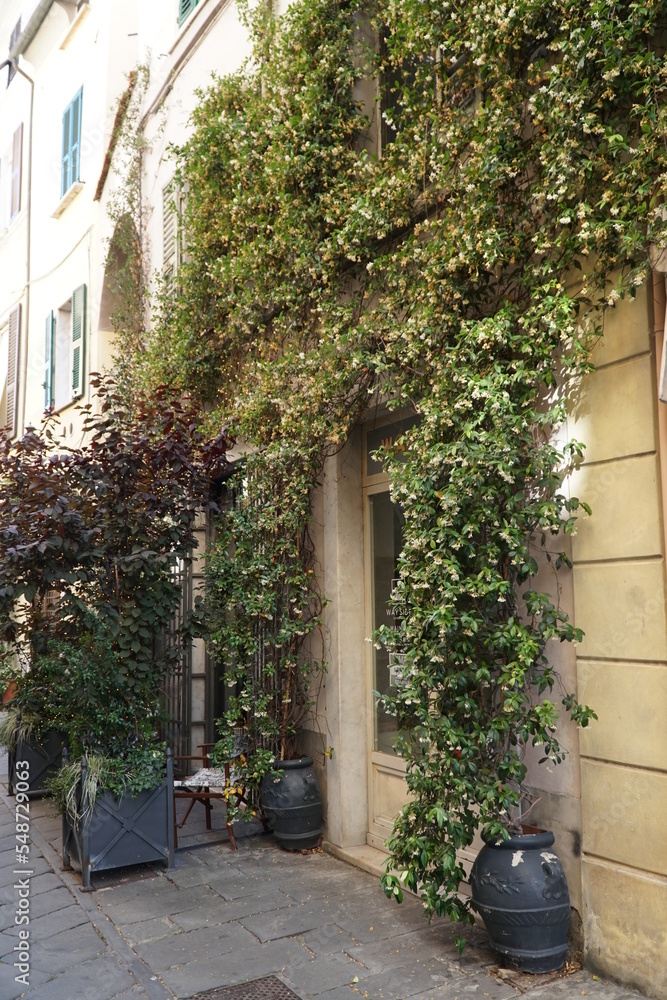 Fototapeta premium sarzana