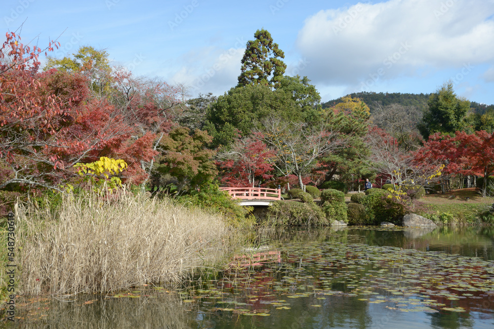 Obraz premium 秋の大覚寺 紅葉の大沢池 京都市右京区嵯峨