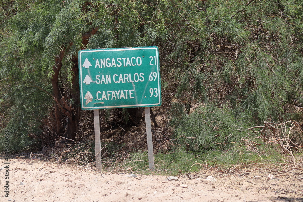 Indicative road board at Ruta 40, Route 40, mythical highway in northern argentina