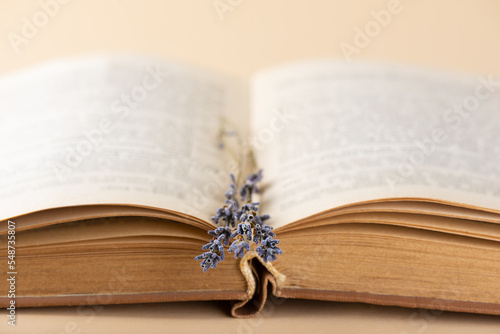 Open book with lavender flowers on beige background, education, learning, study, culture.